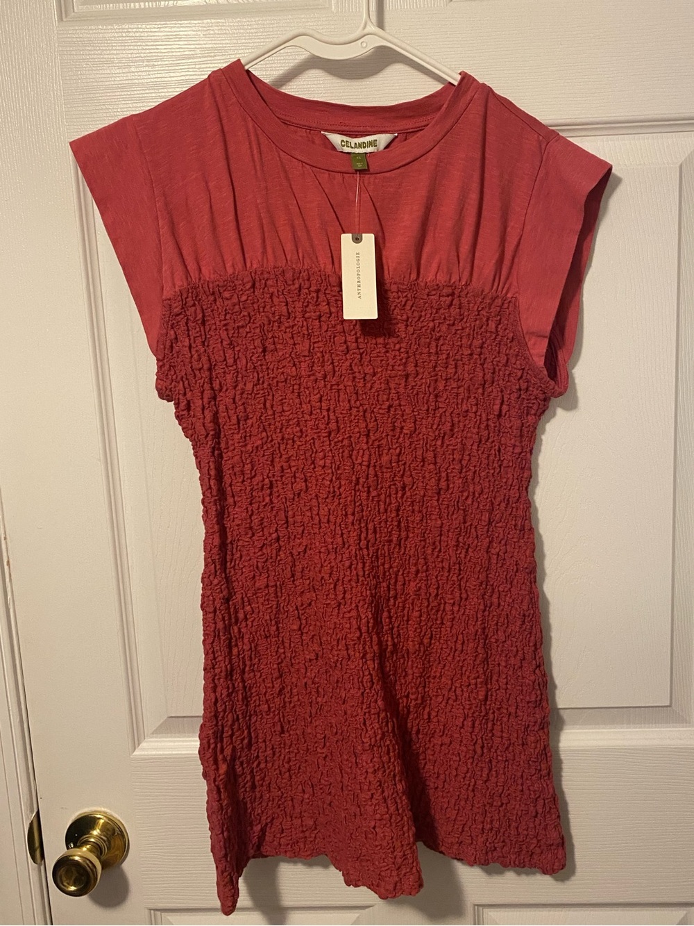 Anthropologie Rose Mini Dress